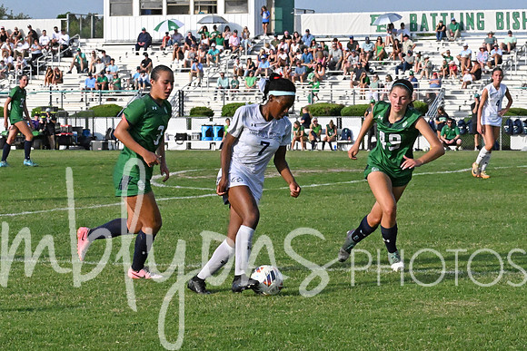 DSC_6464-12_edited-1