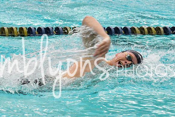 DSC_3992-1_edited-1