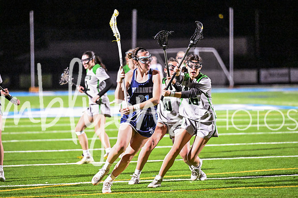 DSC_4921_edited-1