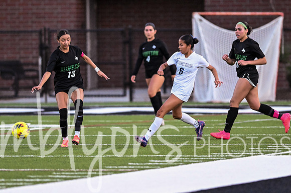 DSC_6768_edited-1
