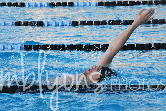 DSC_6117-1_edited-1