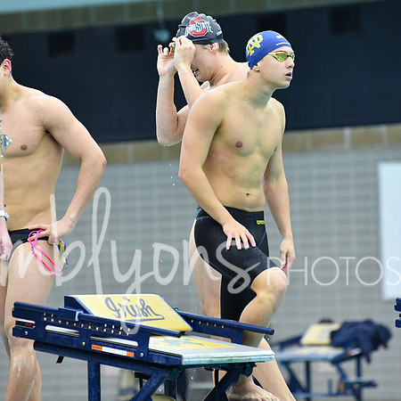 DSC_2346_edited-1