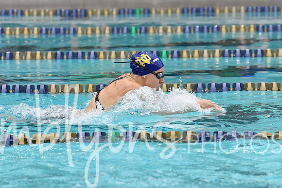 DSC_2036_edited-1