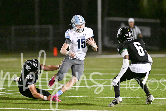 DSC_7633_edited-1