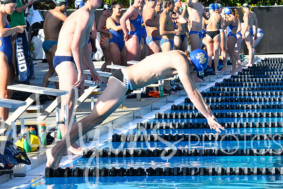 DSC_5089_edited-1