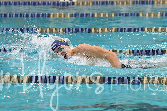 DSC_1917_edited-1
