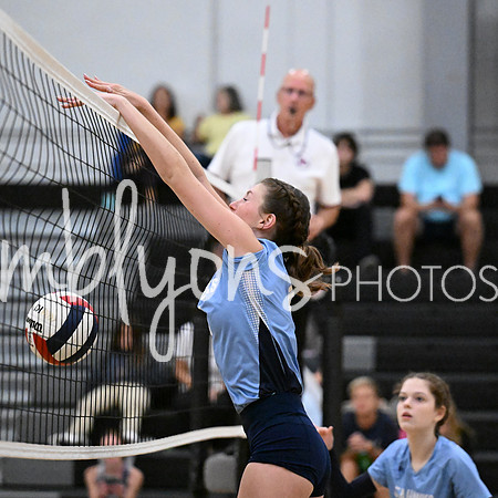 DSC_4461-1_edited-1