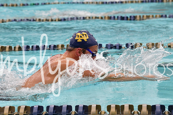 DSC_3201_edited-1