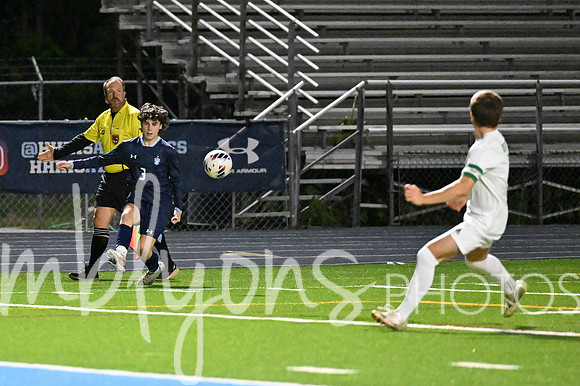 DSC_4203-1_edited-1