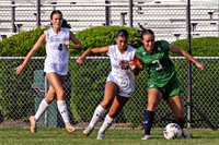 DSC_6197-1_edited-1
