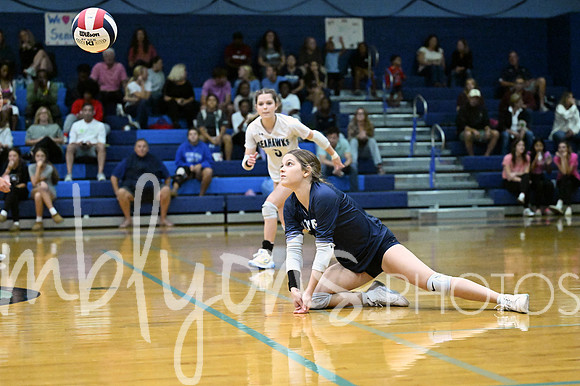 DSC_5672-1_edited-1