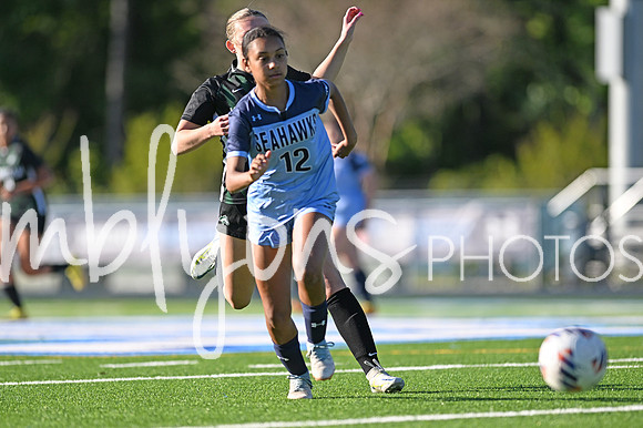 DSC_0817-1_edited-1