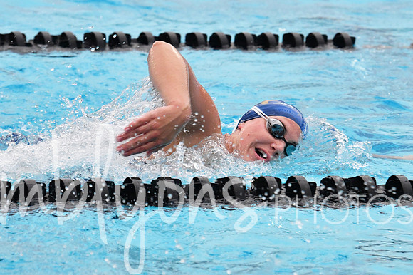 DSC_4463-1_edited-1