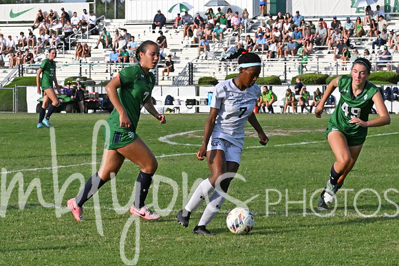 DSC_6463-12_edited-1