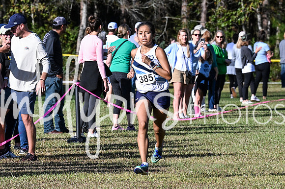 DSC_7310_edited-1