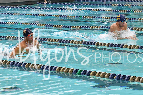 DSC_3515_edited-1