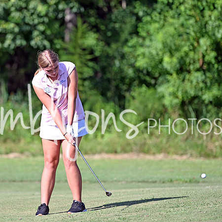 DSC_3386-1_edited-1