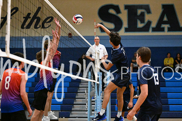 DSC_4412_edited-1
