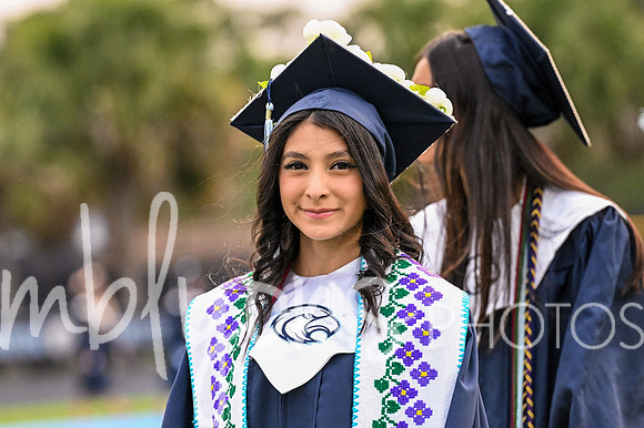 DSC_7100_edited-1
