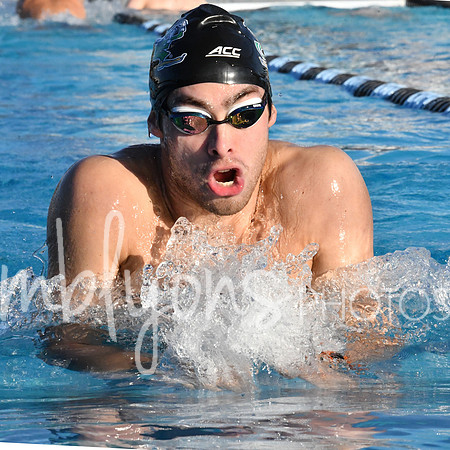 DSC_5596-1_edited-1