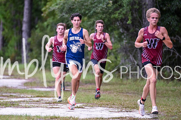 DSC_9773_edited-1