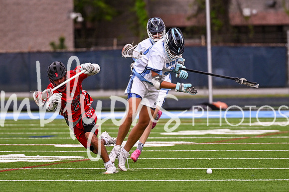 DSC_8262_edited-1