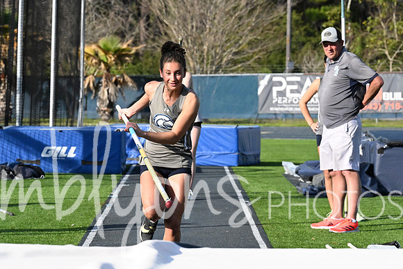 DSC_7132-1_edited-1