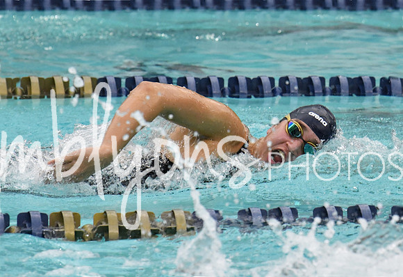 DSC_3421_edited-11