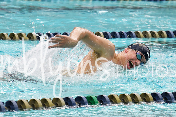DSC_3989-1_edited-1