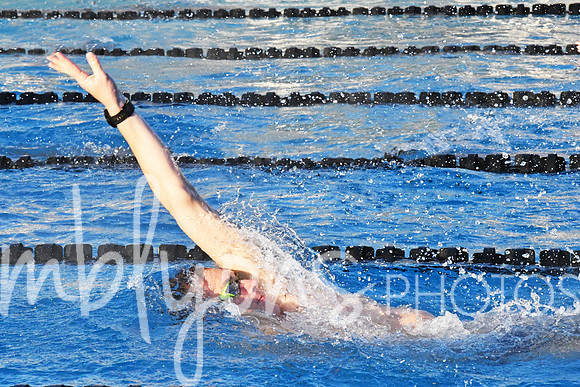 DSC_6171-1_edited-1