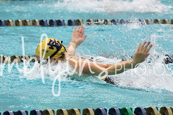 DSC_3246-1_edited-1