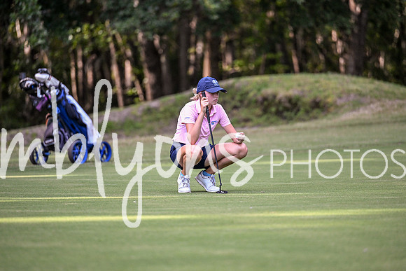 DSC_5936_edited-1