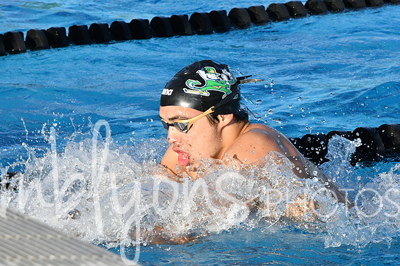DSC_5726_edited-1