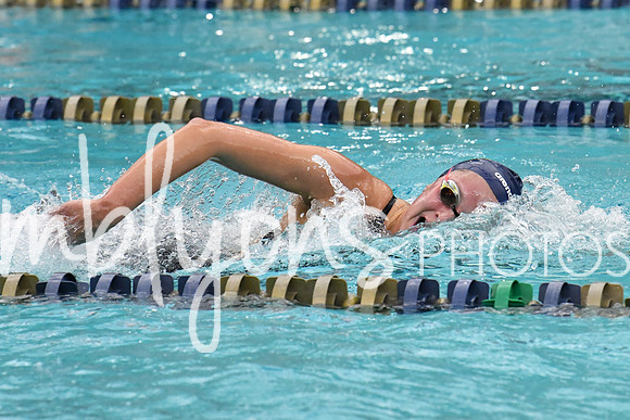 DSC_3946-1_edited-1