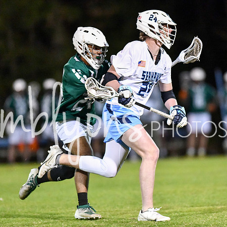 DSC_4566_edited-1