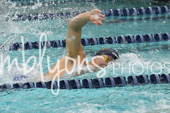 DSC_3446_edited-1