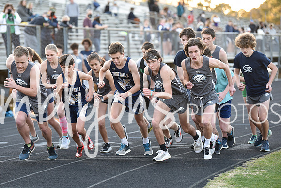 DSC_5399_edited-1