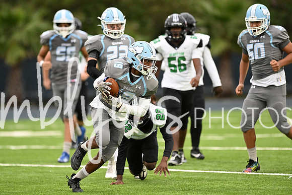 DSC_0555-1_edited-1