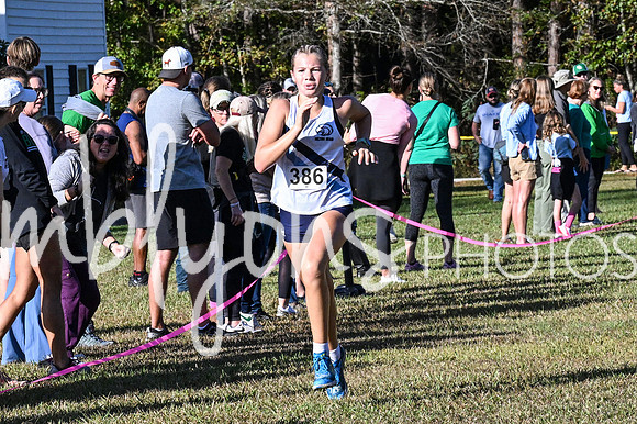 DSC_7299_edited-1