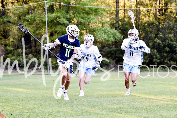 DSC_9085-1_edited-1