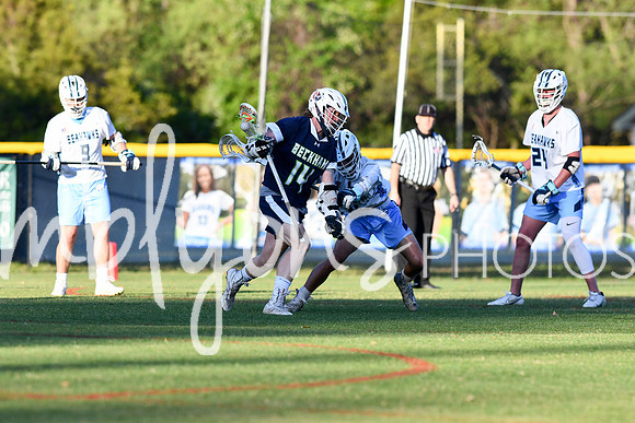 DSC_7229-1_edited-1