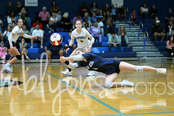 DSC_5674-1_edited-1