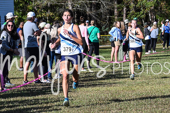 DSC_7293_edited-1