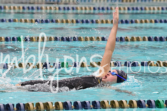 DSC_2949-1_edited-1