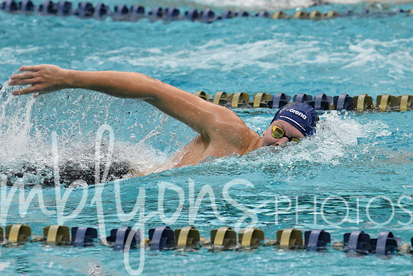 DSC_1963_edited-11