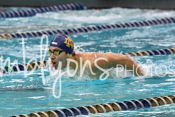 DSC_4574-1_edited-1