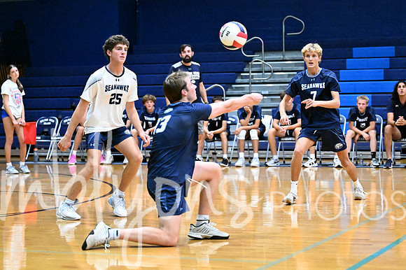 DSC_8860-1_edited-1