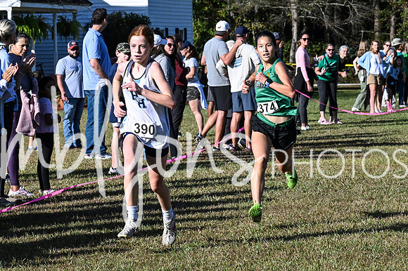 DSC_7317_edited-1