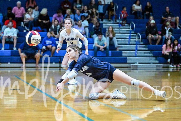 DSC_5673-1_edited-1