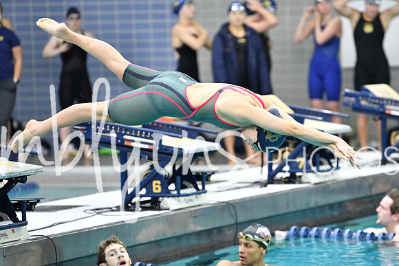 DSC_4260_edited-1